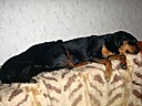 IMG_4766.JPG