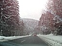 IMG_4771.JPG