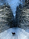 Img_4597.jpg