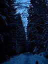 Img_4598.jpg