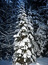 Img_4600.jpg