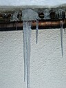 Img_4603.jpg