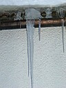 Img_4604.jpg