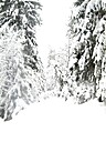 Img_4669.jpg