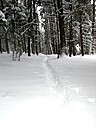 Img_4685.jpg