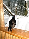 Img_4697.jpg