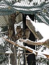 Img_4700.jpg