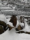 Img_4709.jpg