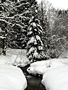 Img_4742.jpg