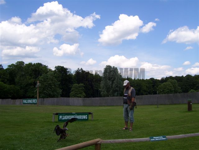 Bodensee_065.jpg