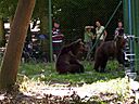 Bodensee_044.jpg