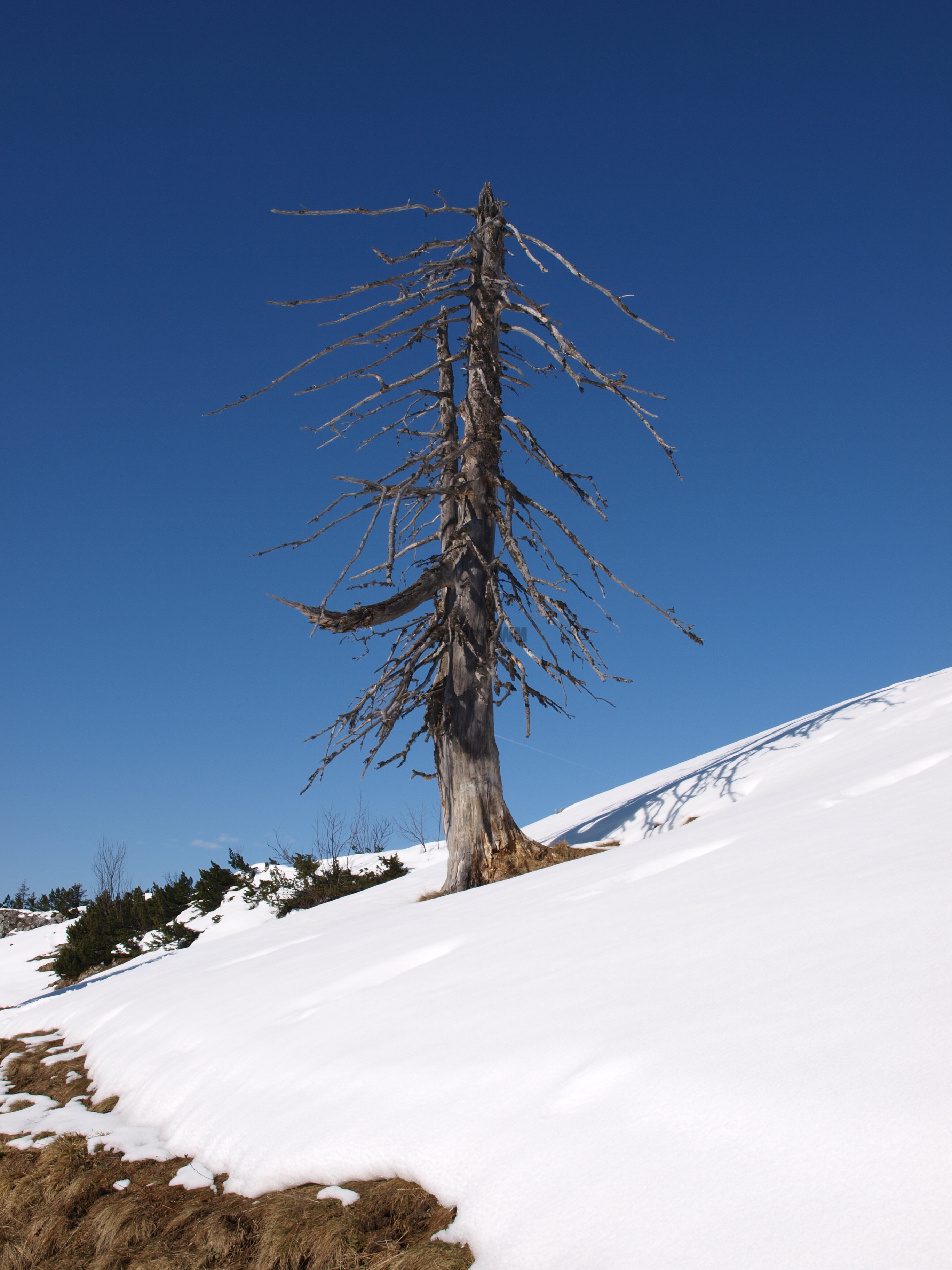 Ruhpolding_02_2011_045.jpg