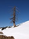 Dateiname=Ruhpolding_02_2011_045.jpg
Dateigröße=2080KB
Abmessungen: 2736x3648
hinzugefügt am: 01. Mai 2022 Ruhpolding_02_2011_045.jpg