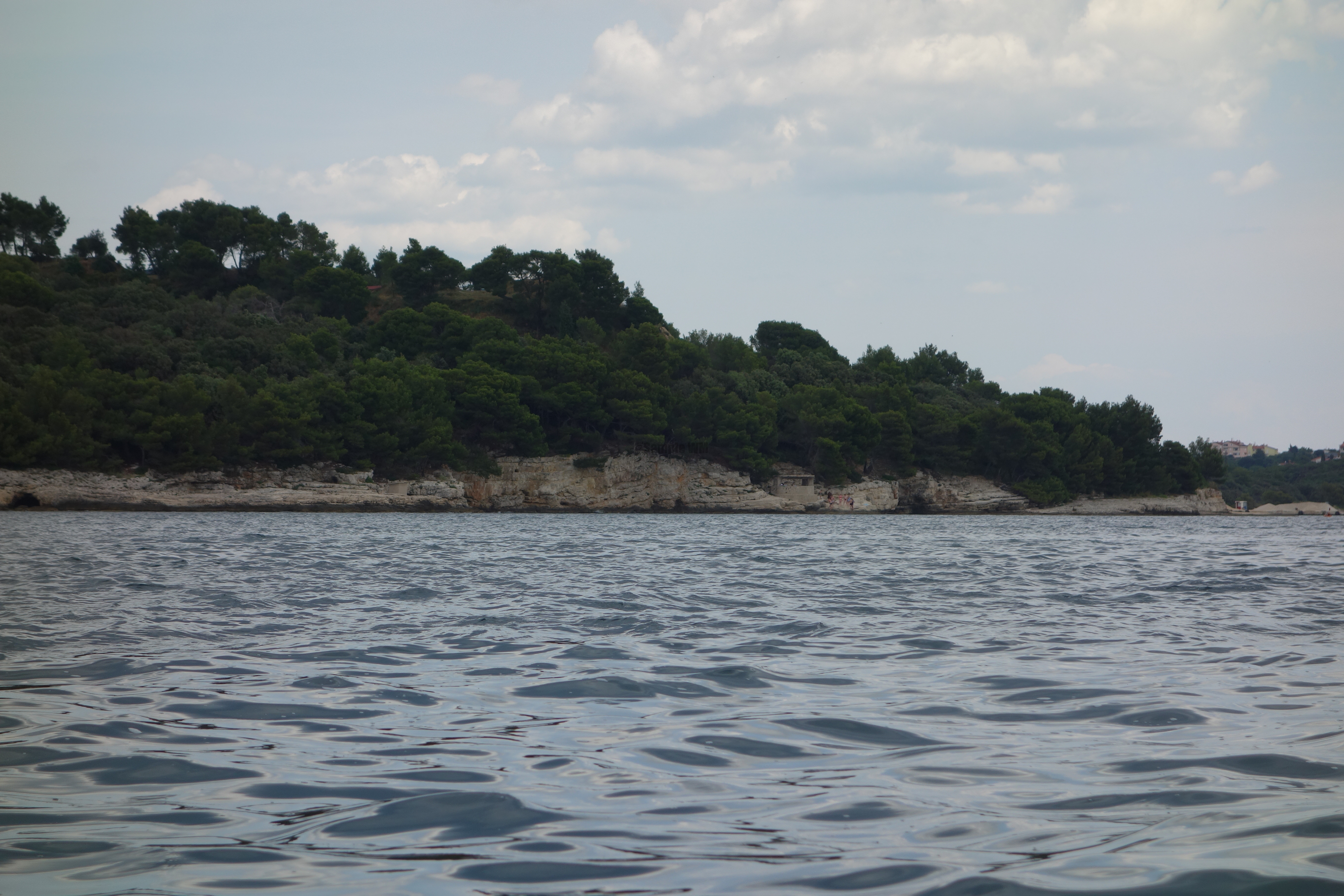 2013-06-29_12_40_29.jpg