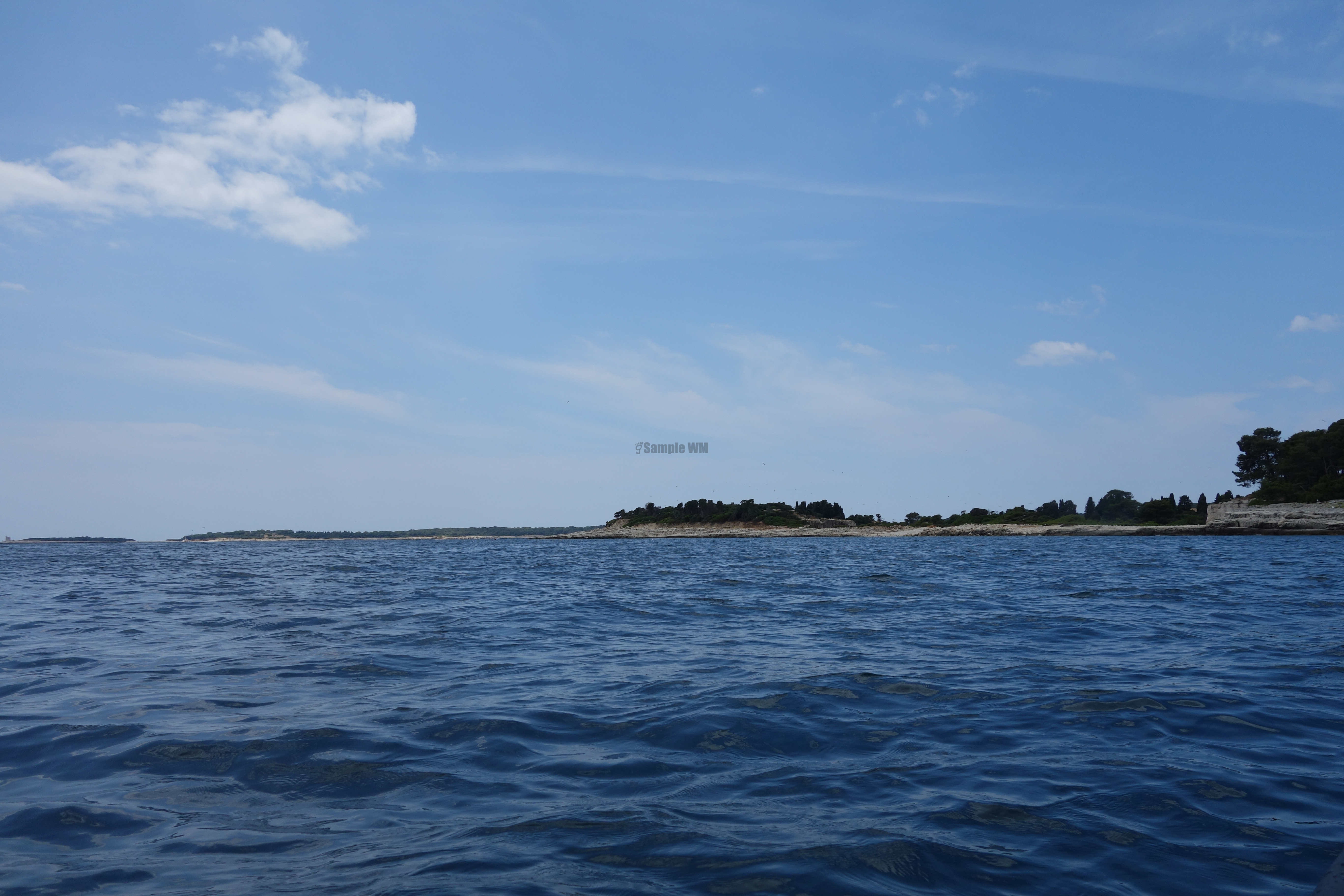 2013-06-29_13_03_51.jpg