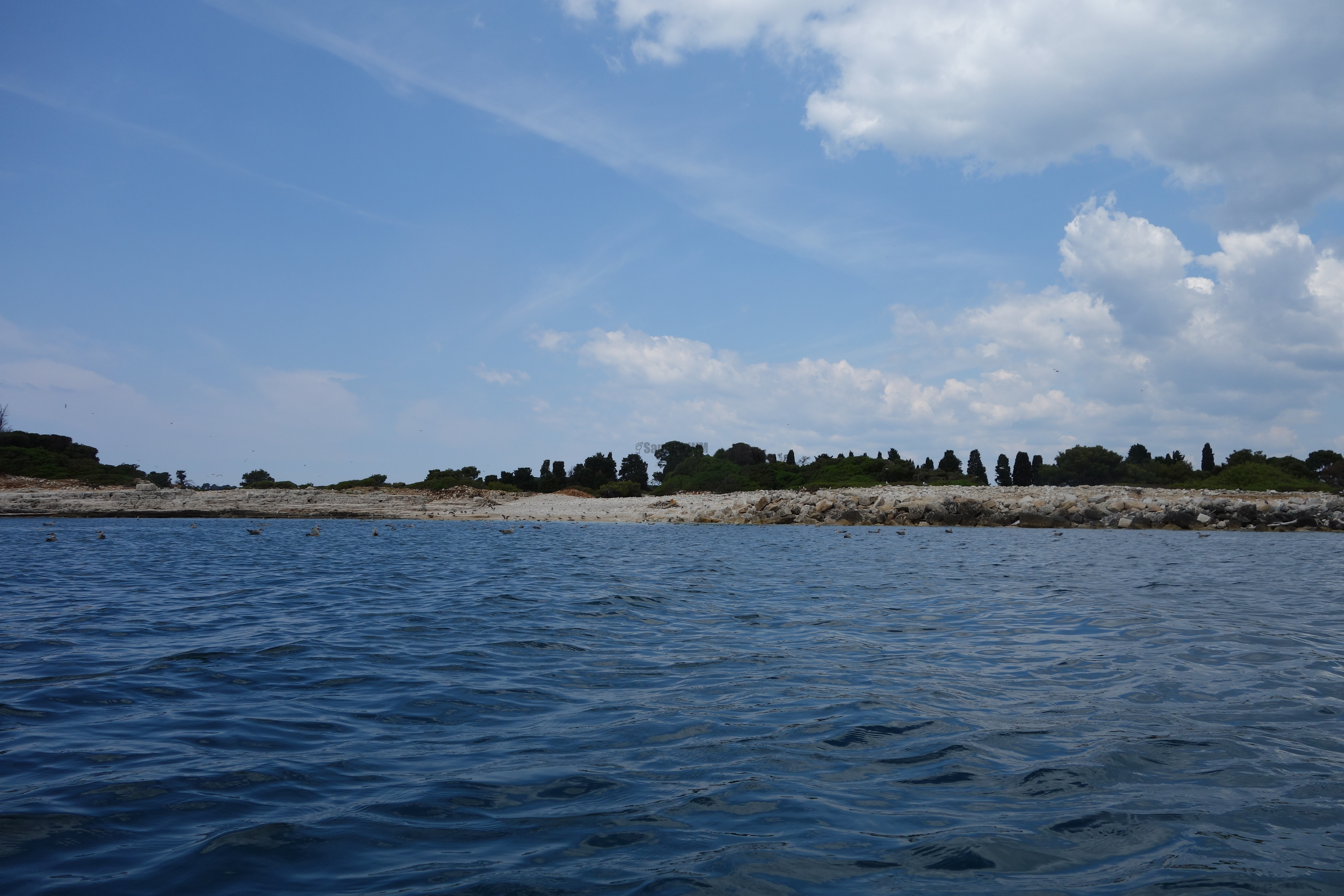 2013-06-29_13_09_07.jpg