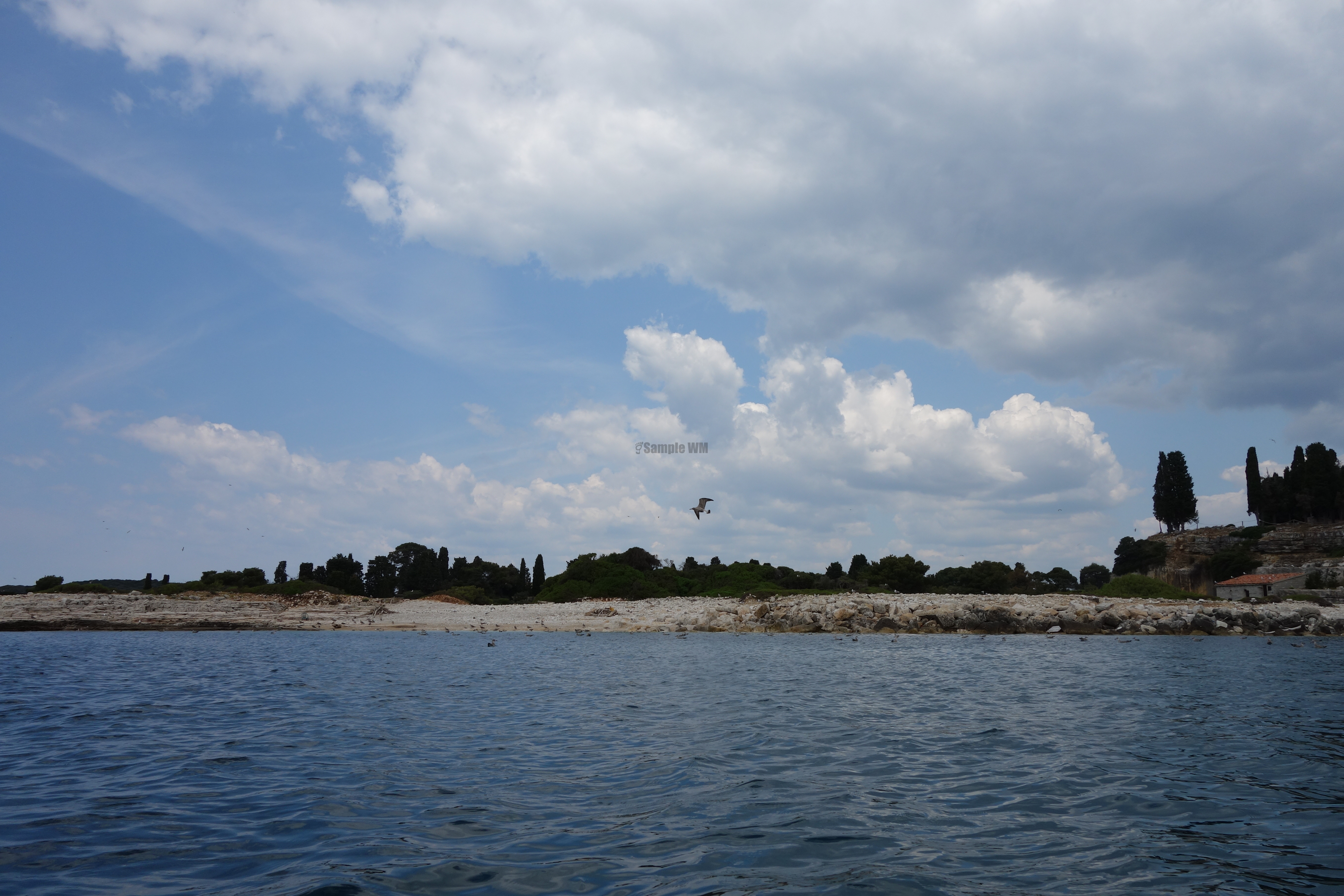 2013-06-29_13_10_13.jpg