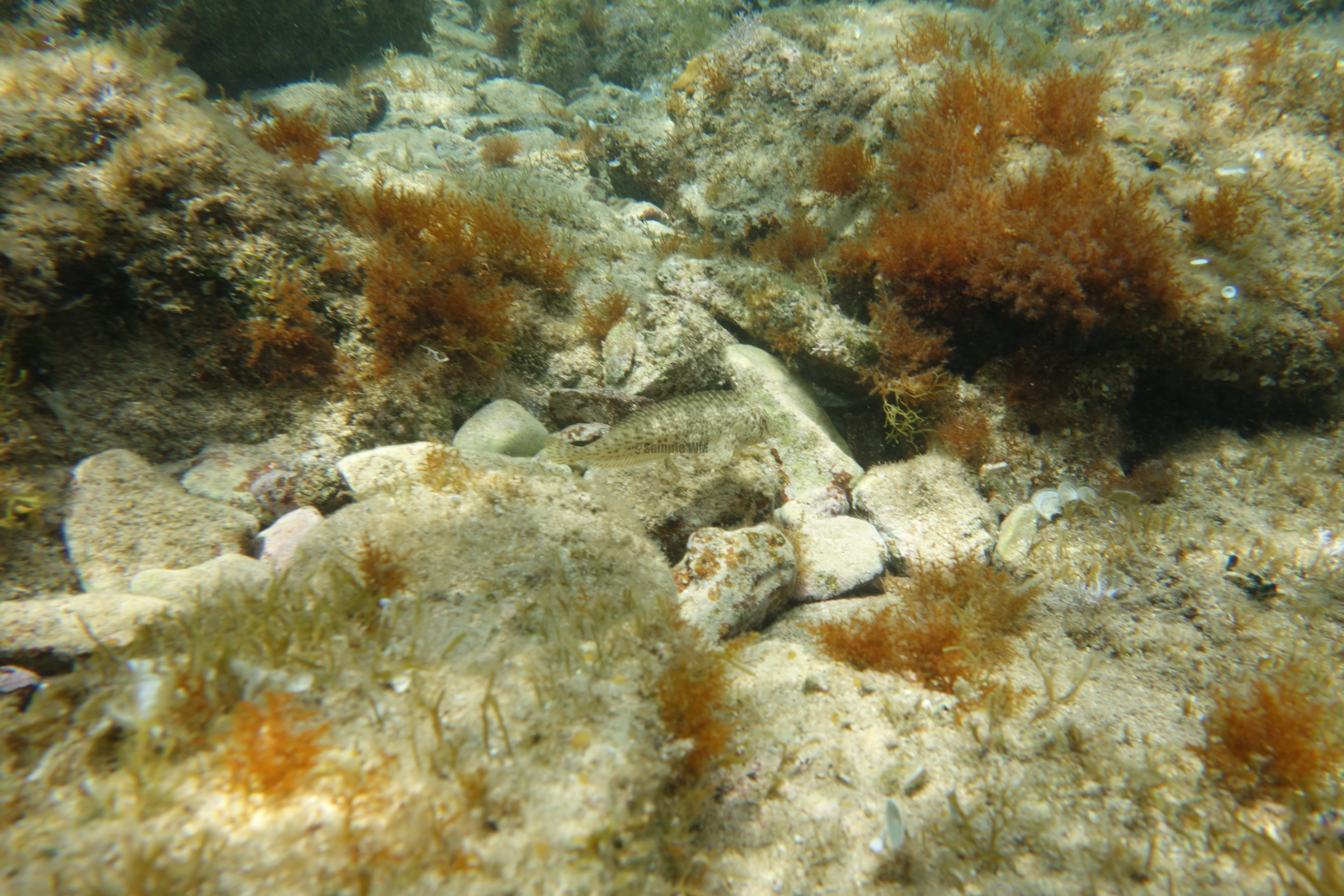 2013-06-29_13_49_45.jpg