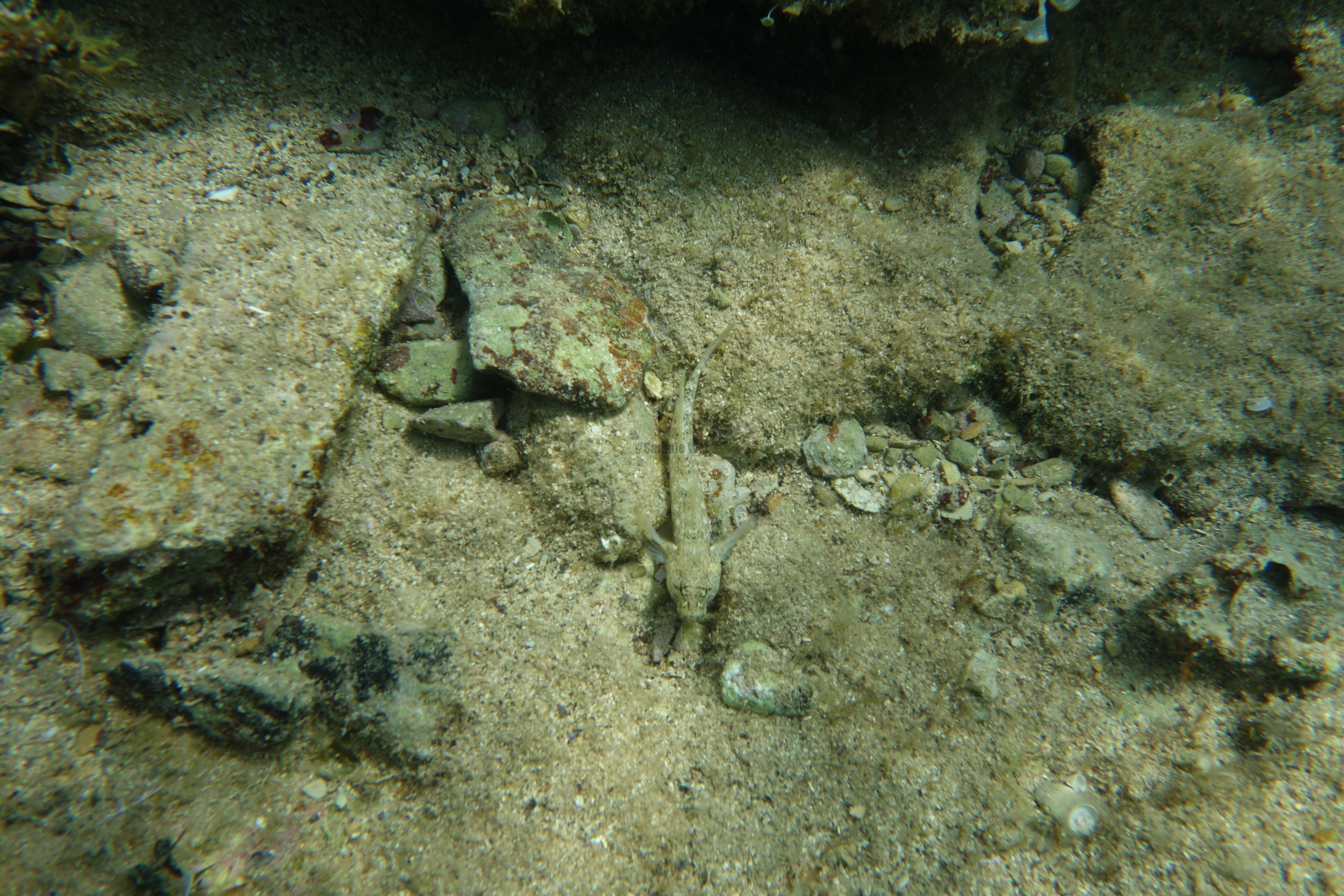 2013-06-29_13_52_55.jpg