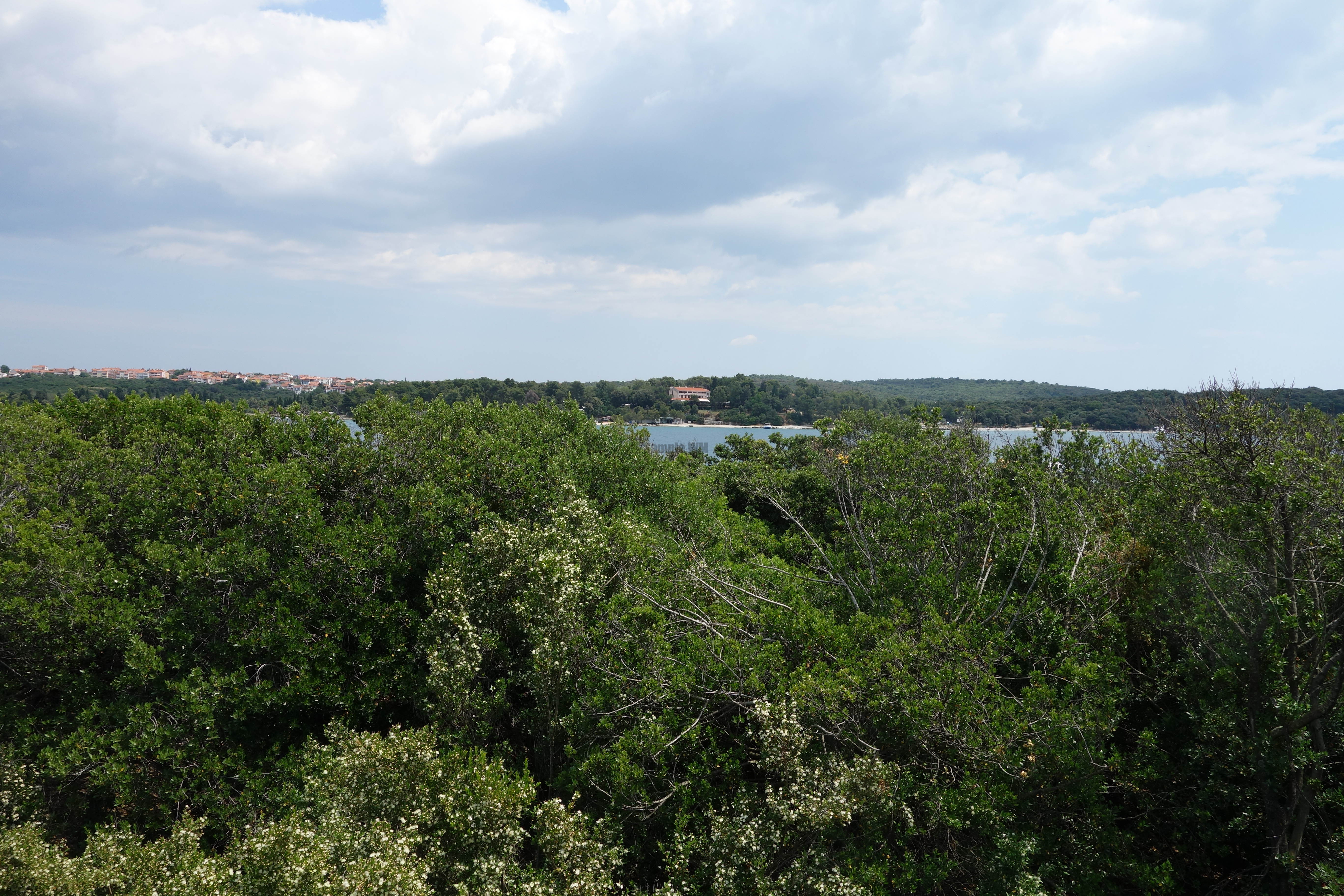 2013-06-29_14_11_55.jpg