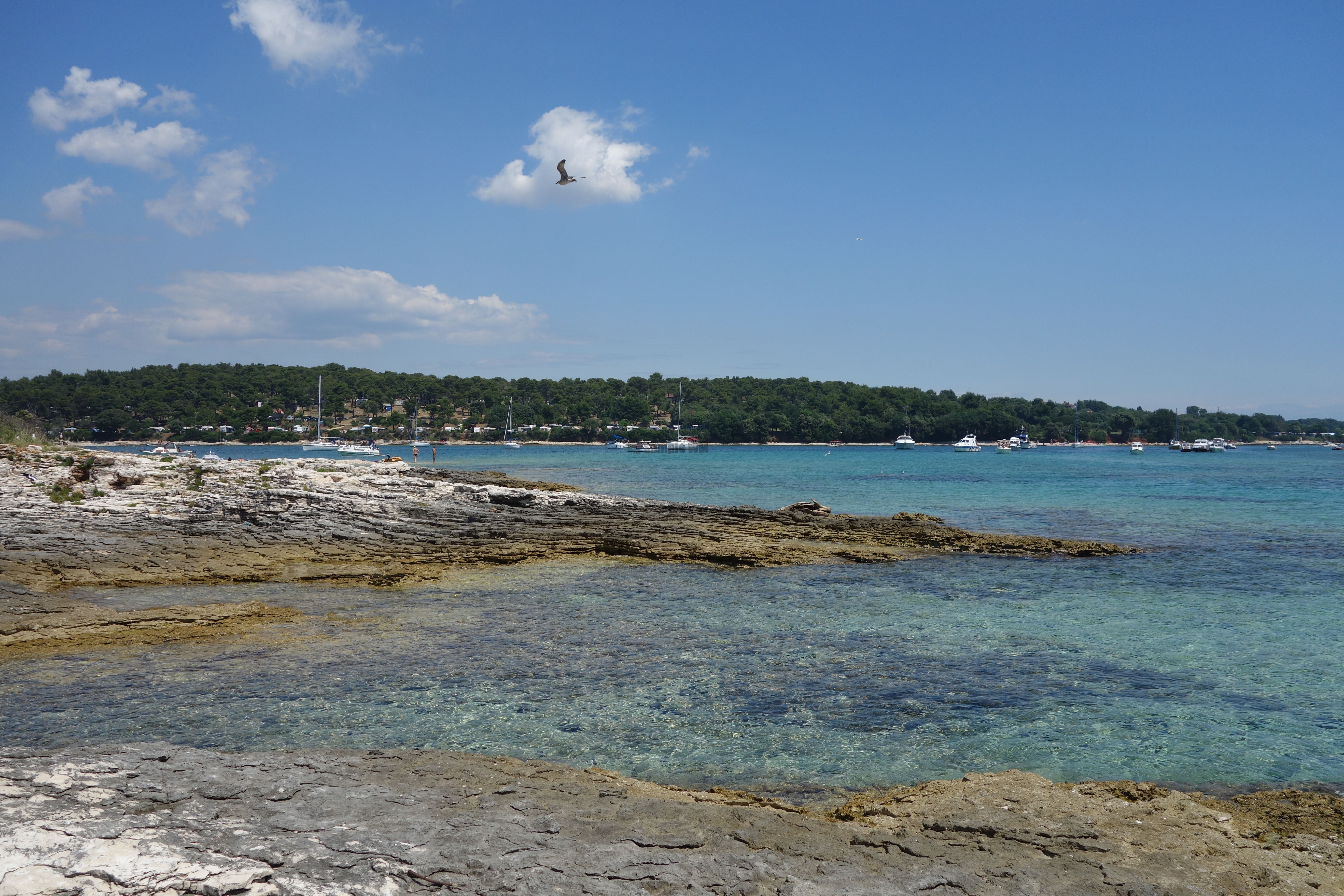 2013-06-30_13_32_34.jpg