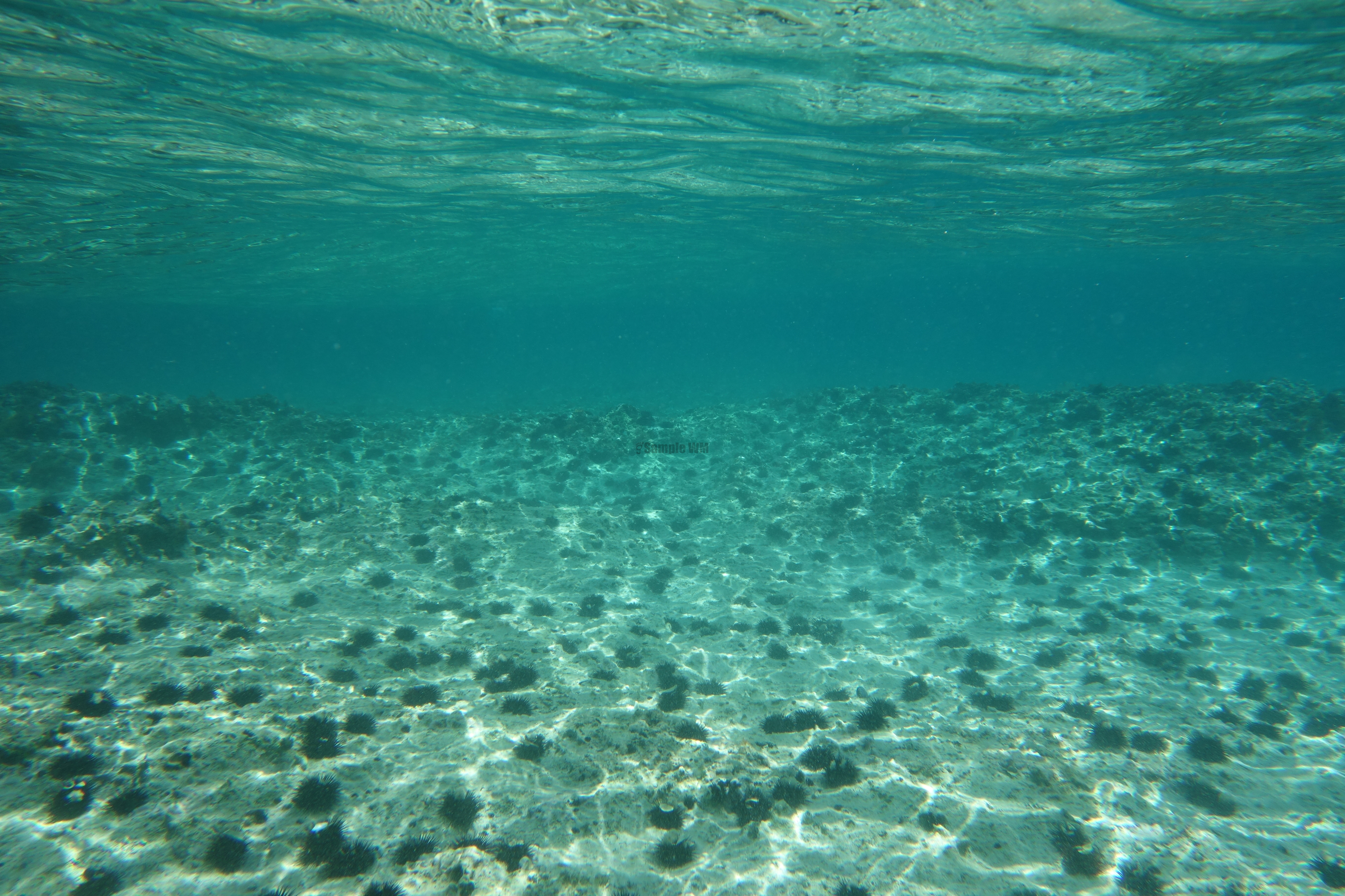 2013-06-30_13_36_29.jpg