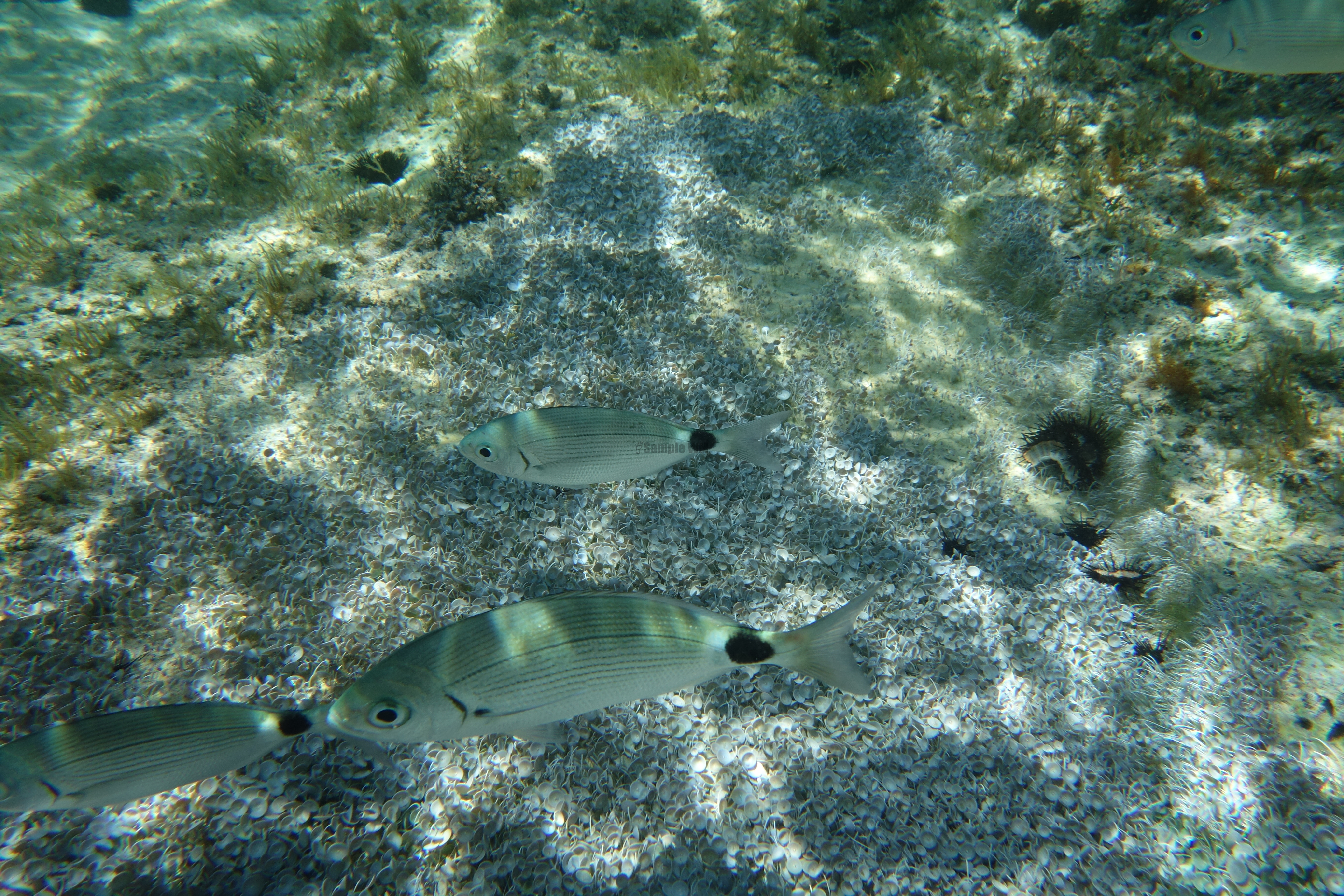 2013-06-30_13_42_45.jpg