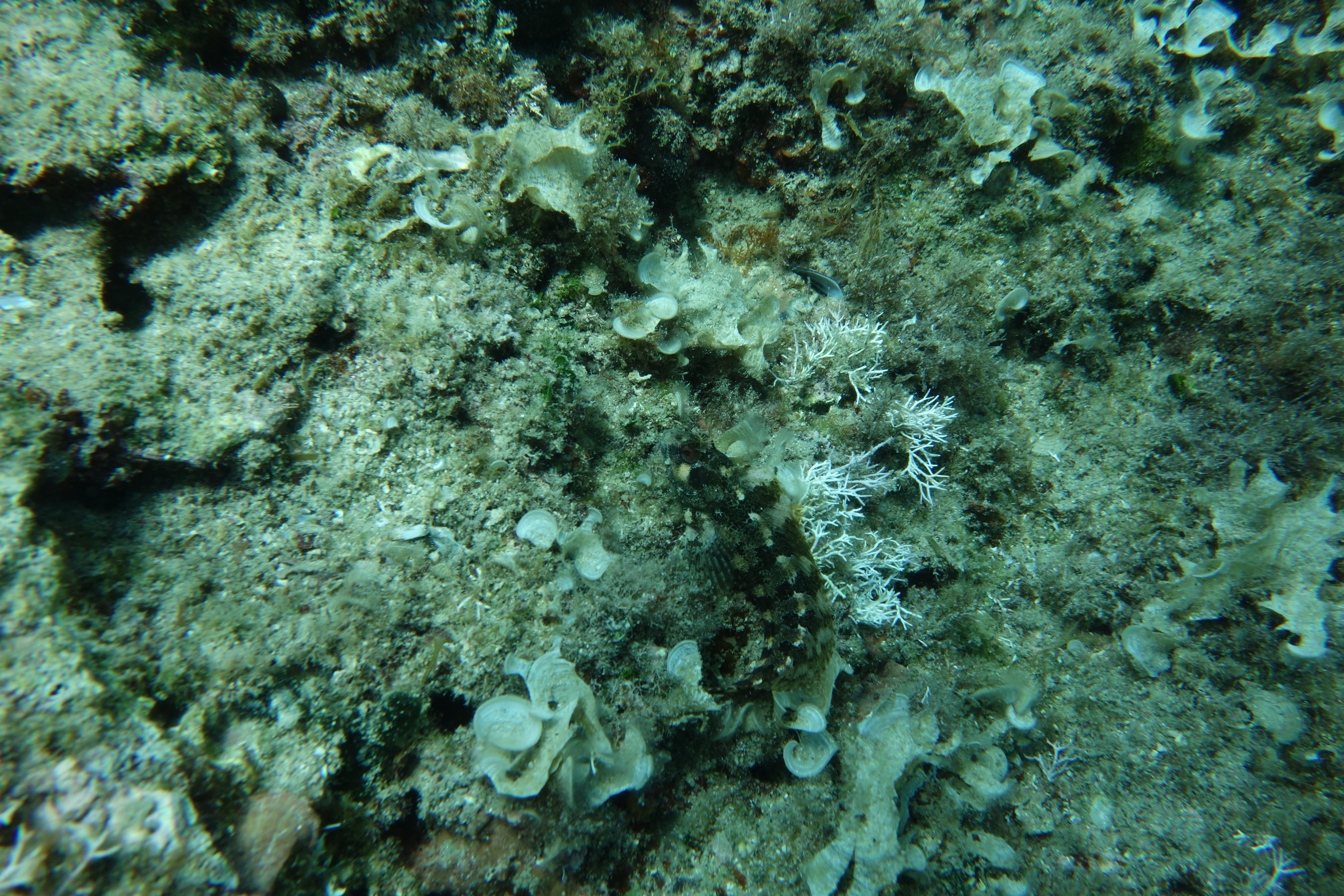 2013-06-30_13_46_06.jpg