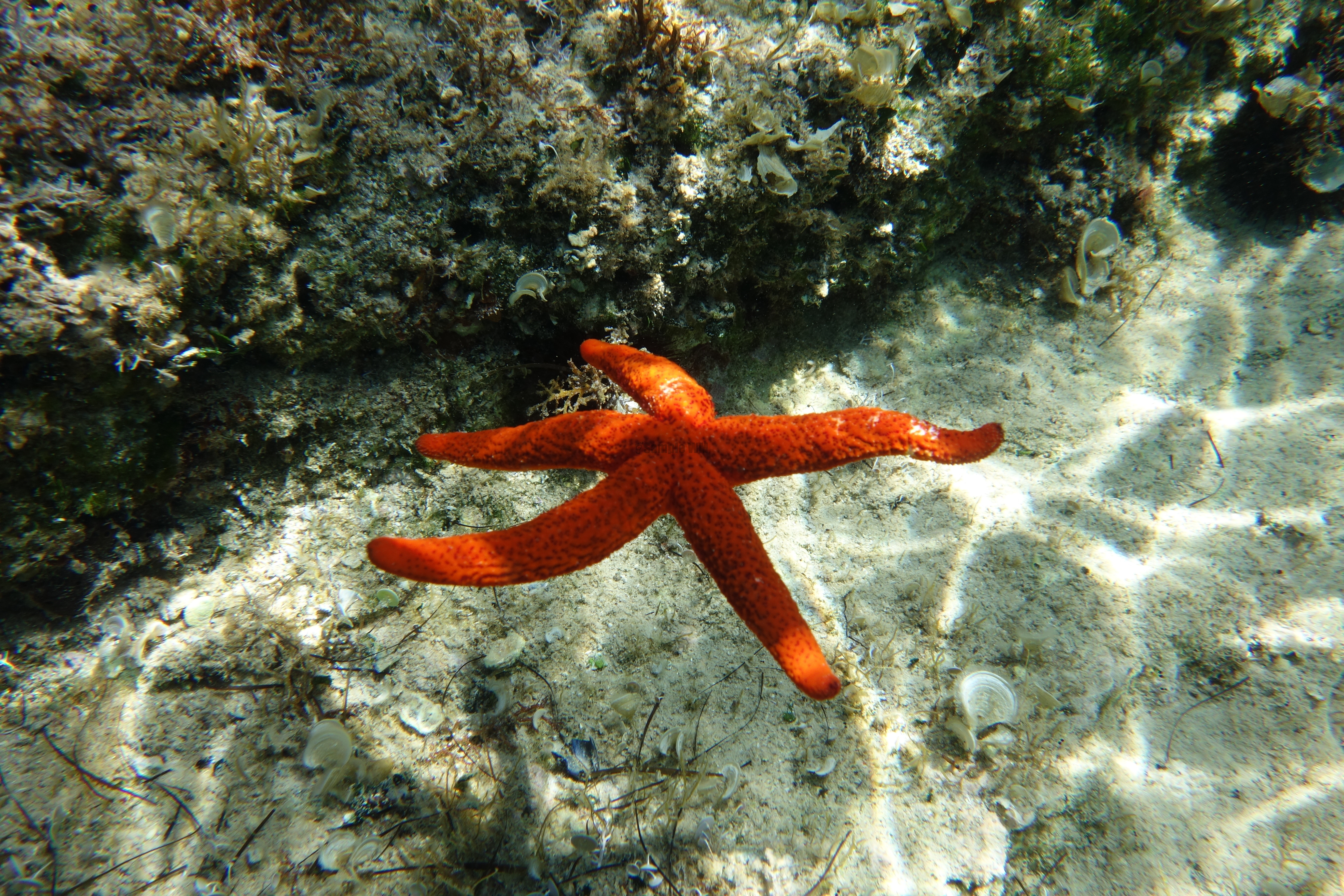 2013-06-30_13_56_12.jpg