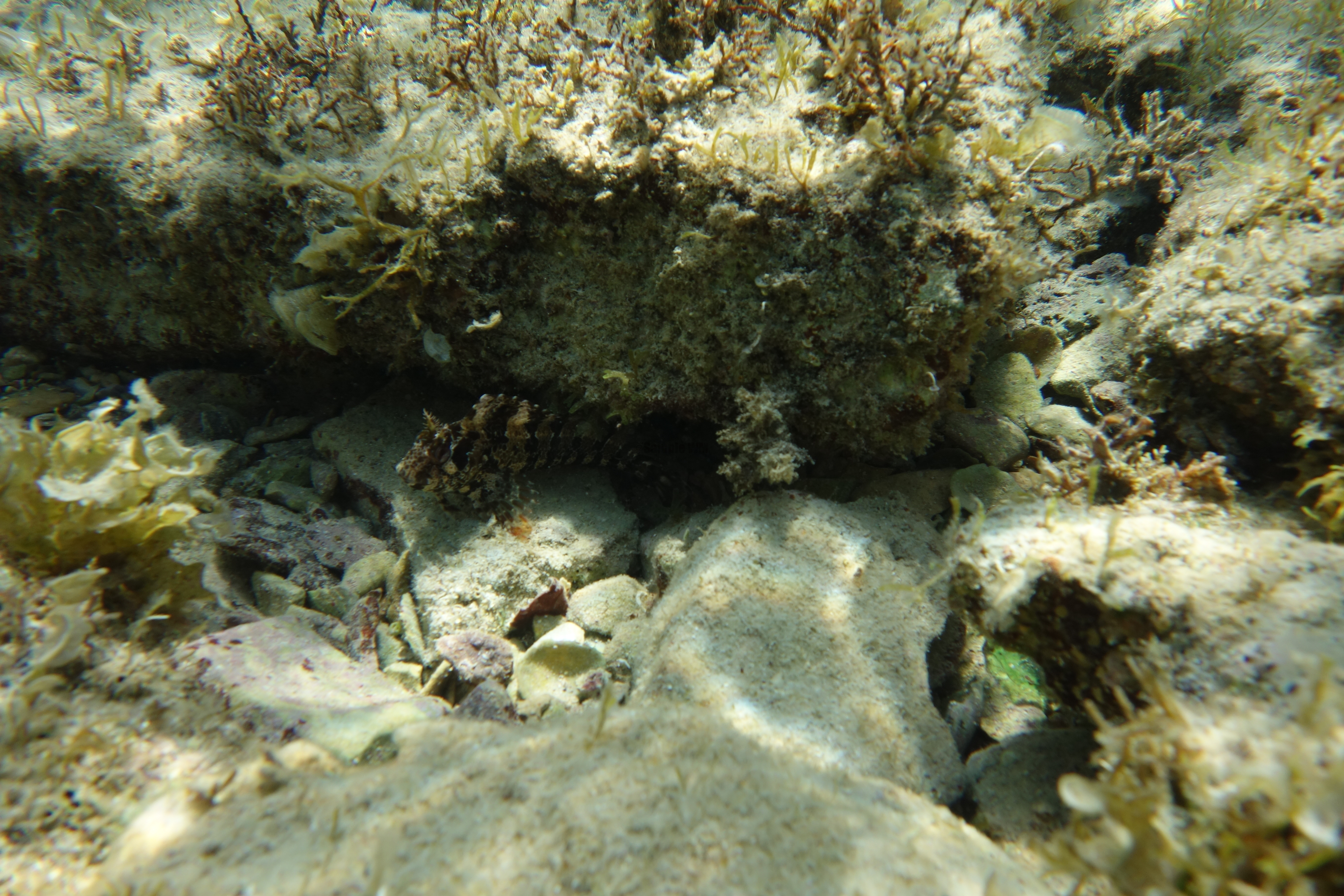 2013-06-30_15_10_03.jpg