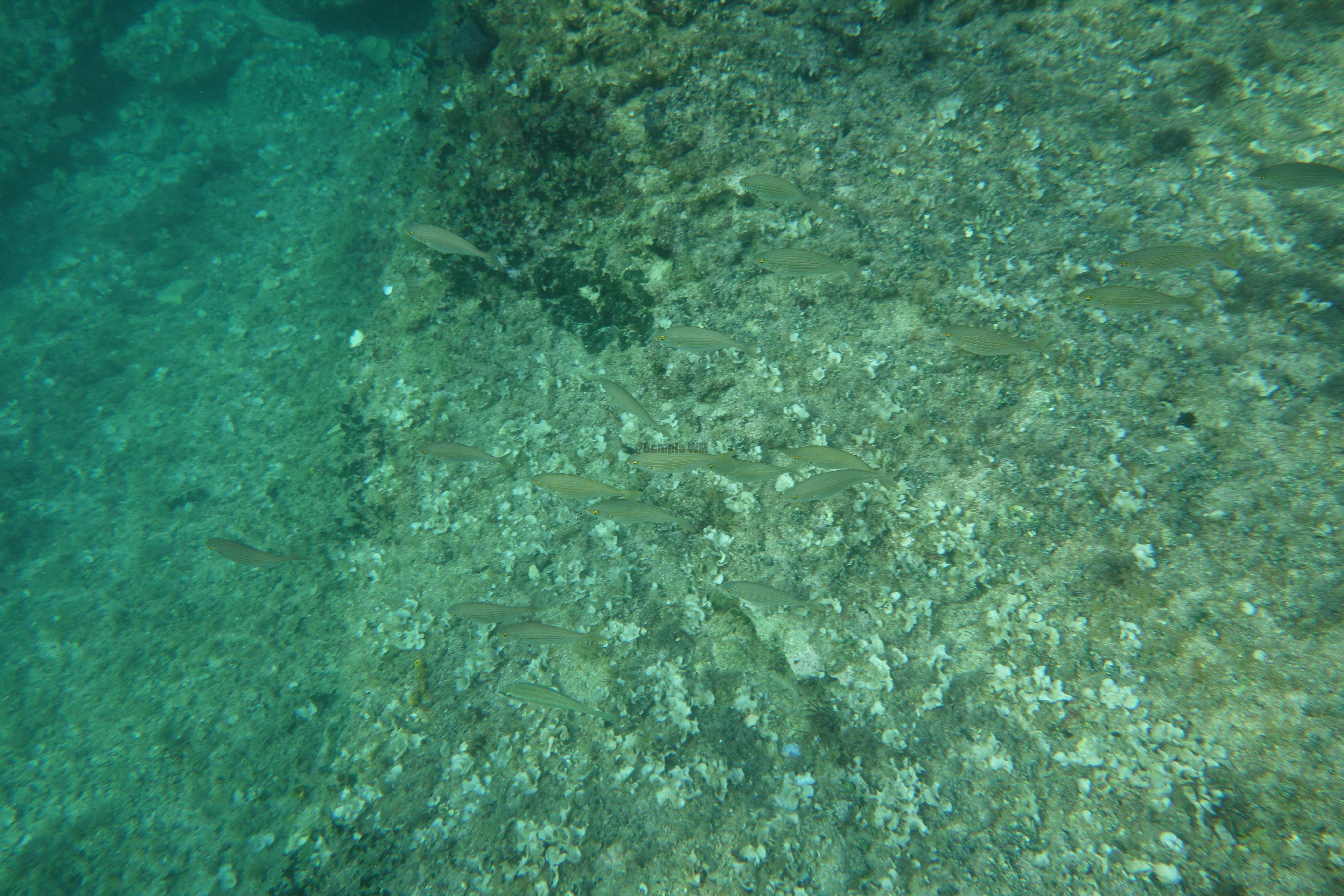 2013-06-30_19_06_56.jpg