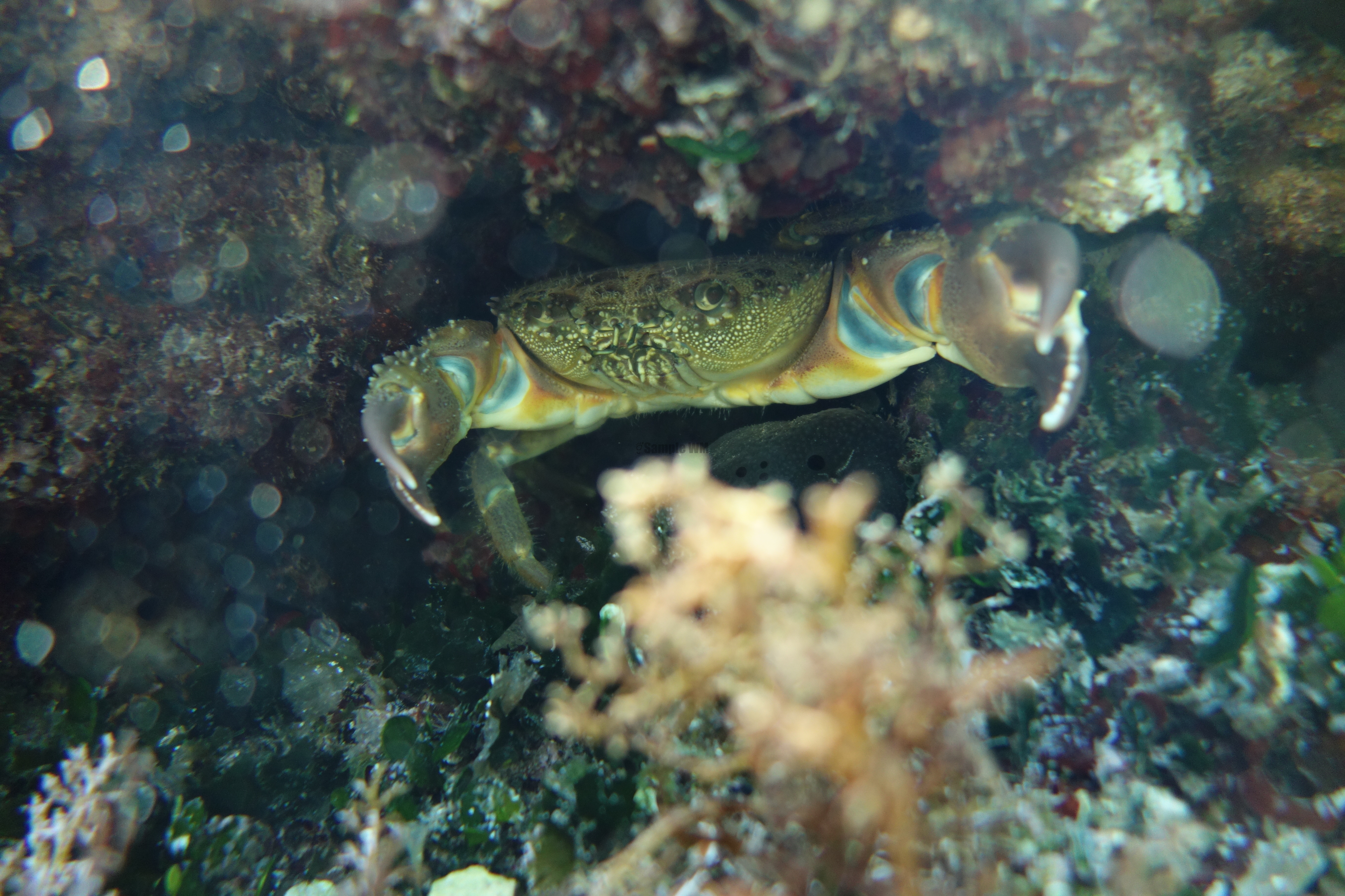 2013-07-03_14_45_23.jpg