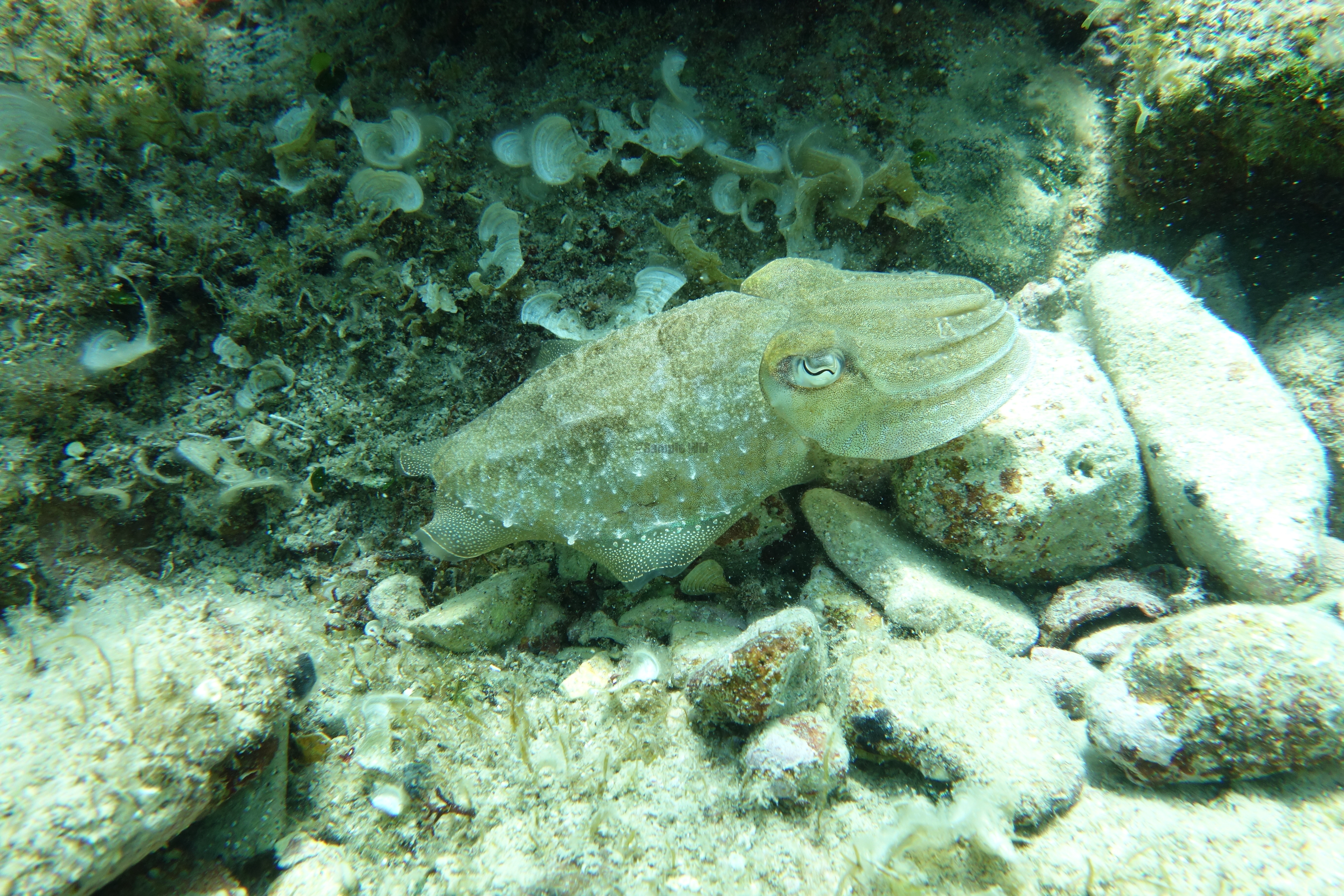 2013-07-03_14_53_28.jpg