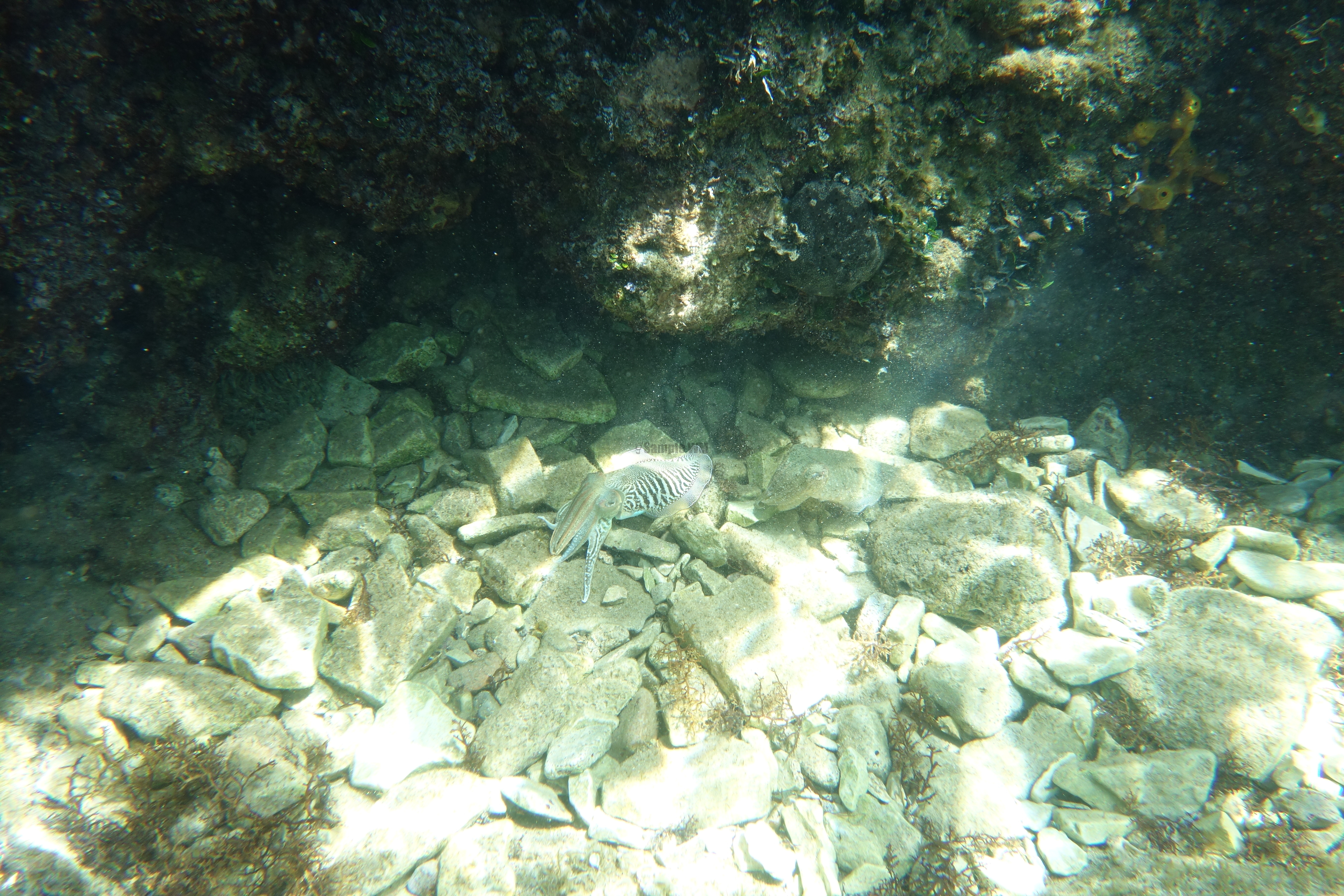 2013-07-03_14_56_59.jpg