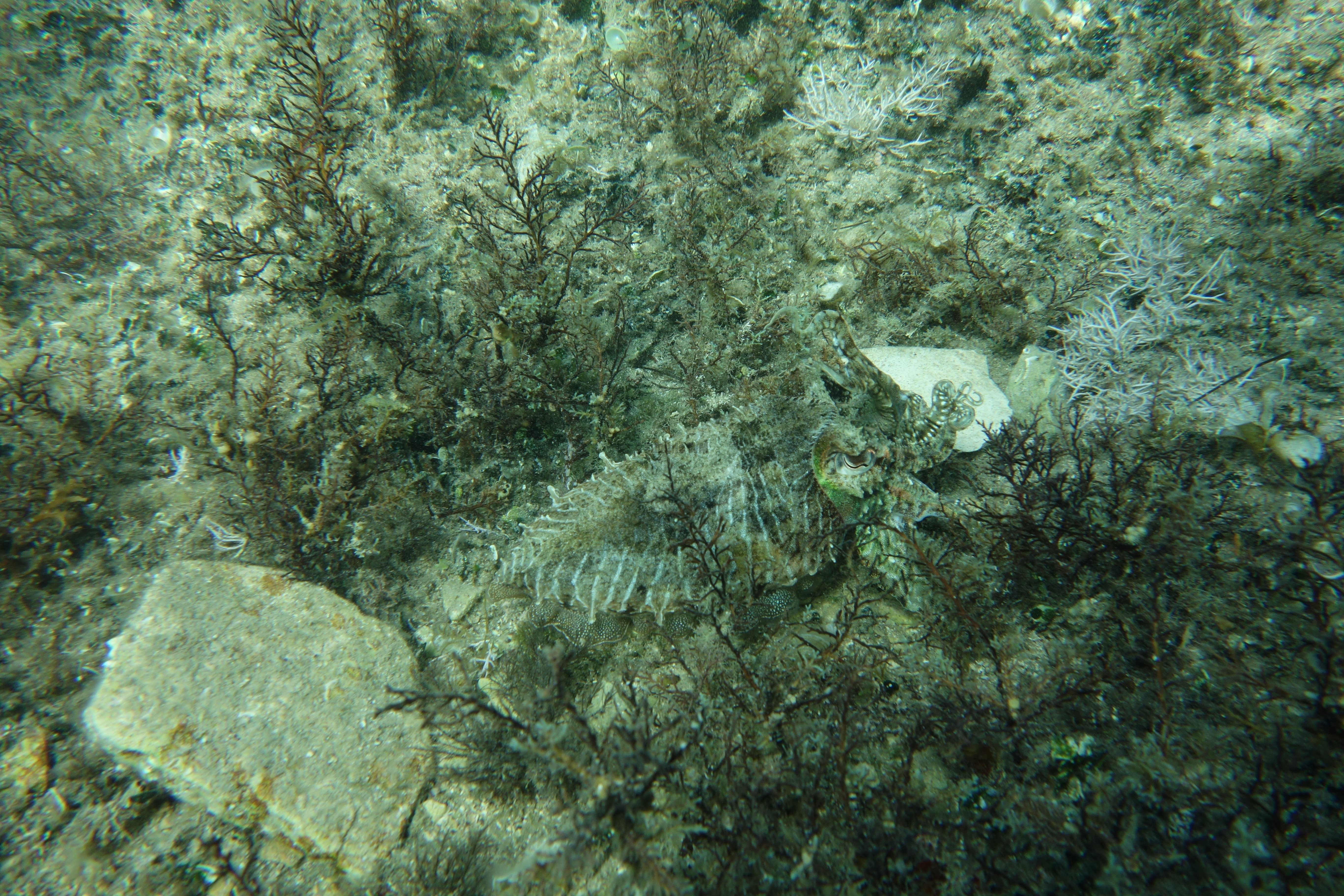 2013-07-03_15_54_48.jpg