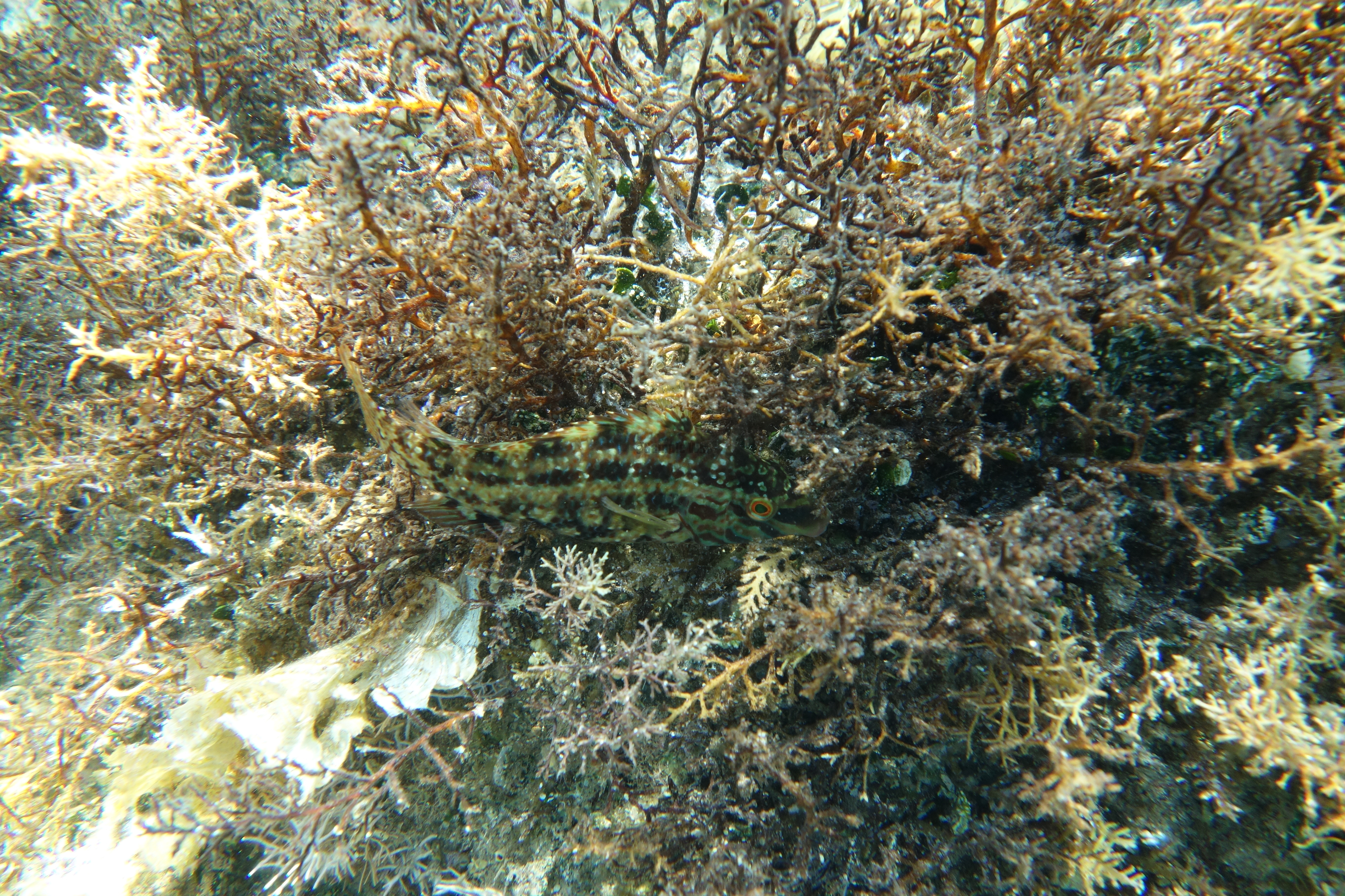 2013-07-03_16_11_06.jpg