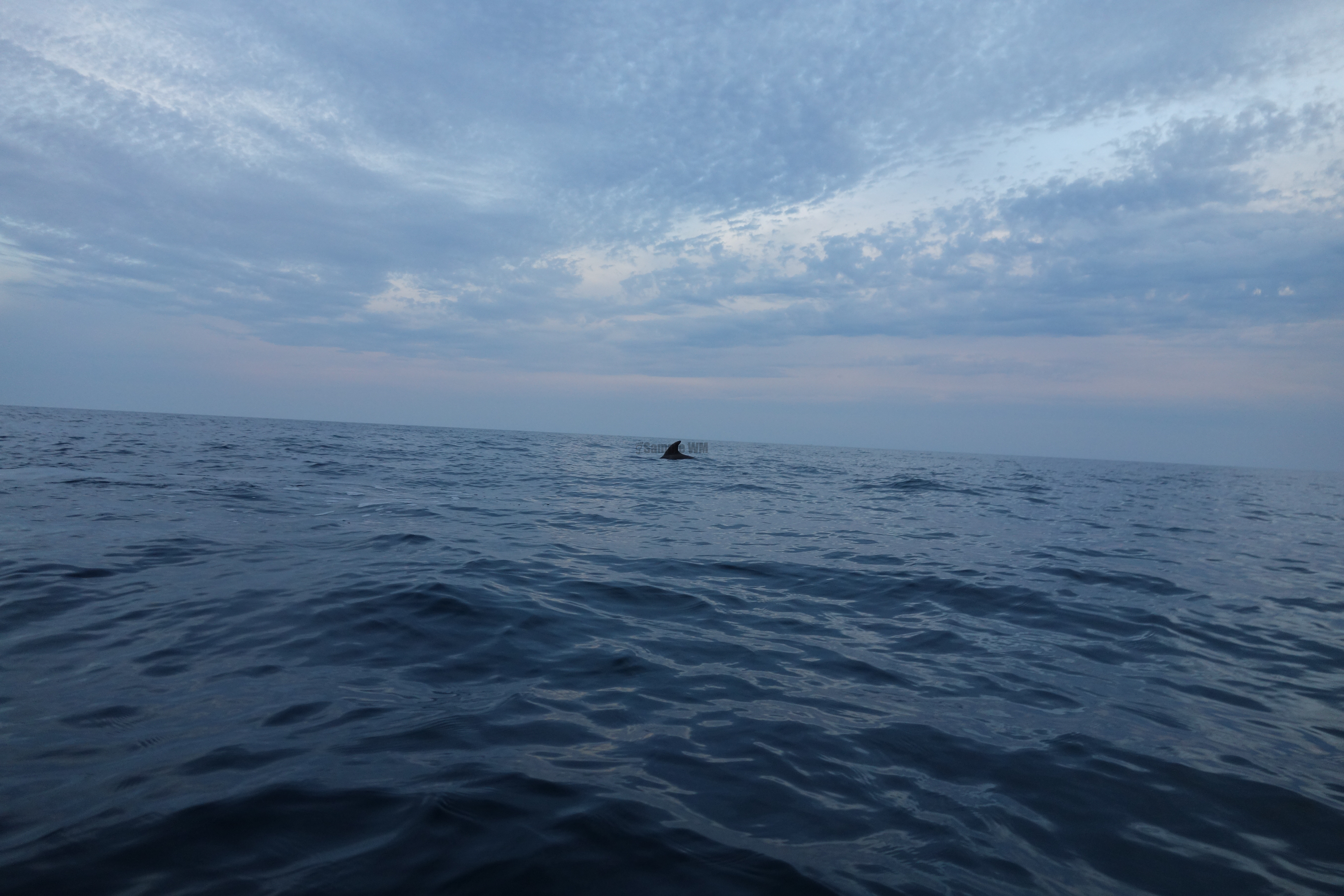 2013-07-03_20_27_37.jpg