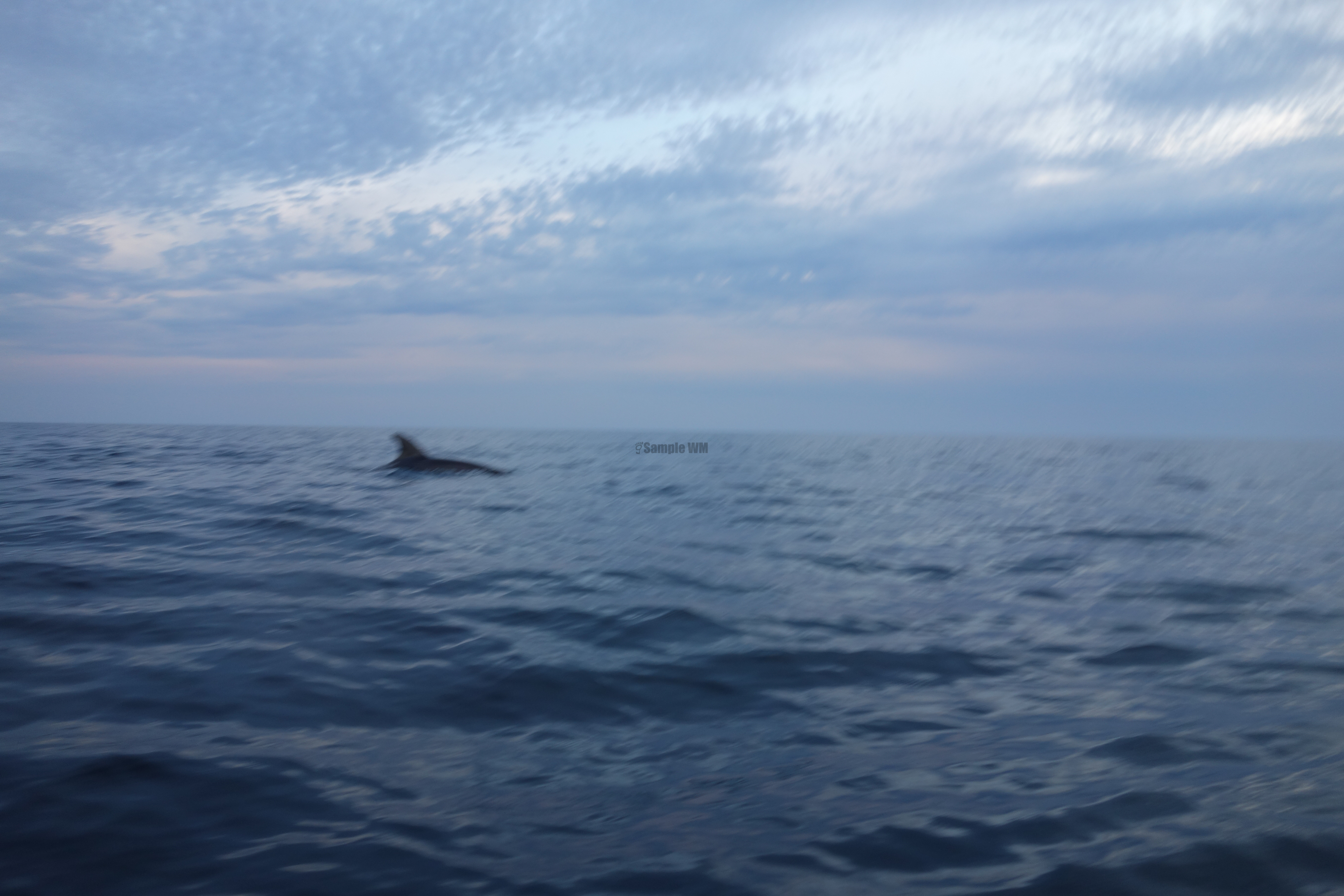 2013-07-03_20_27_47.jpg