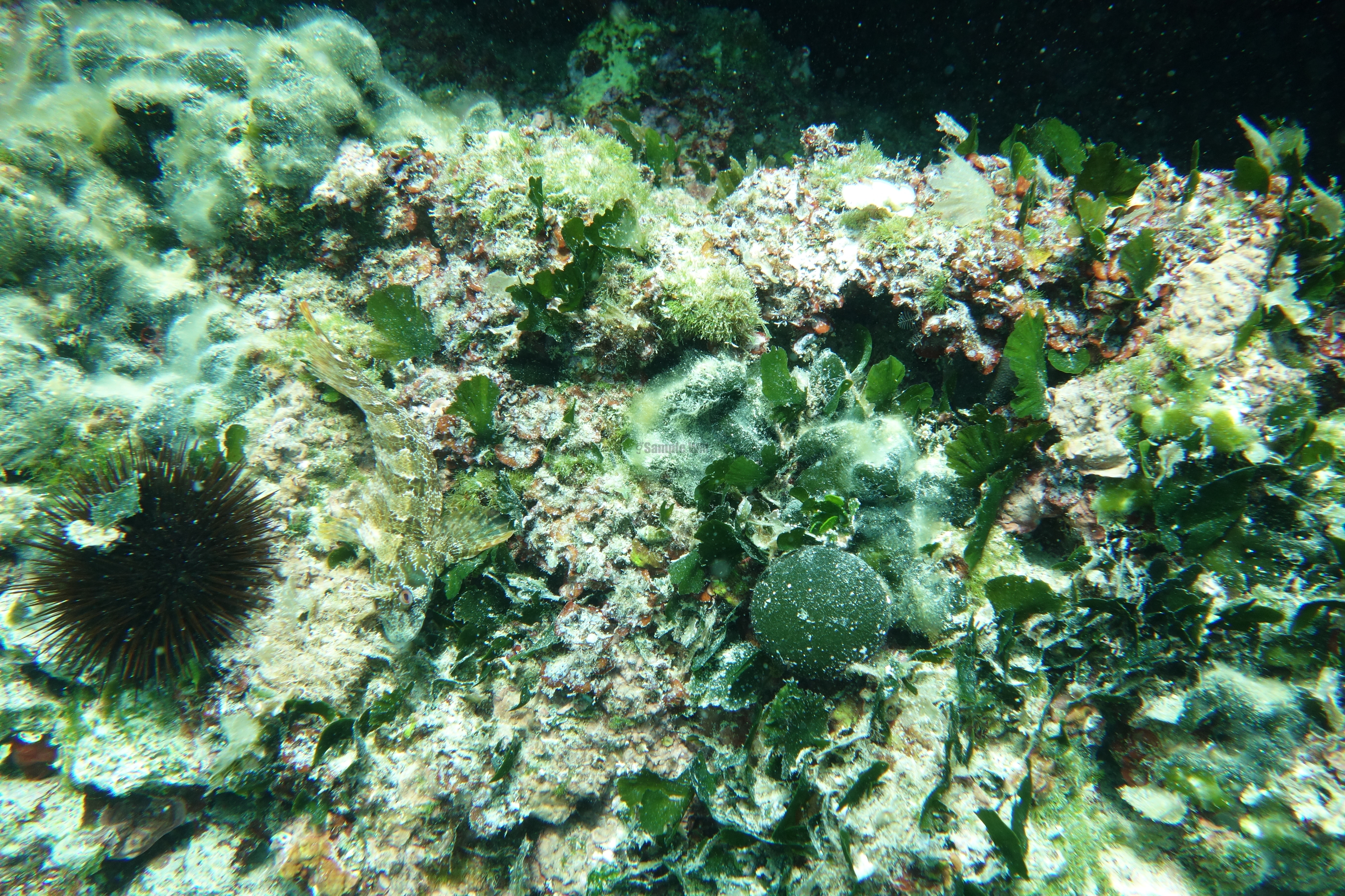 2013-07-04_16_42_32.jpg