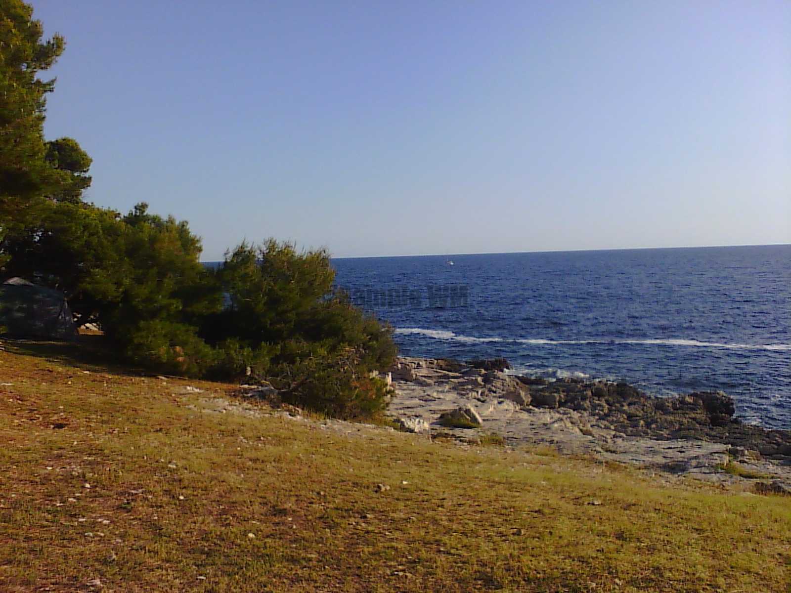 IMG_20130701_184950.jpg
