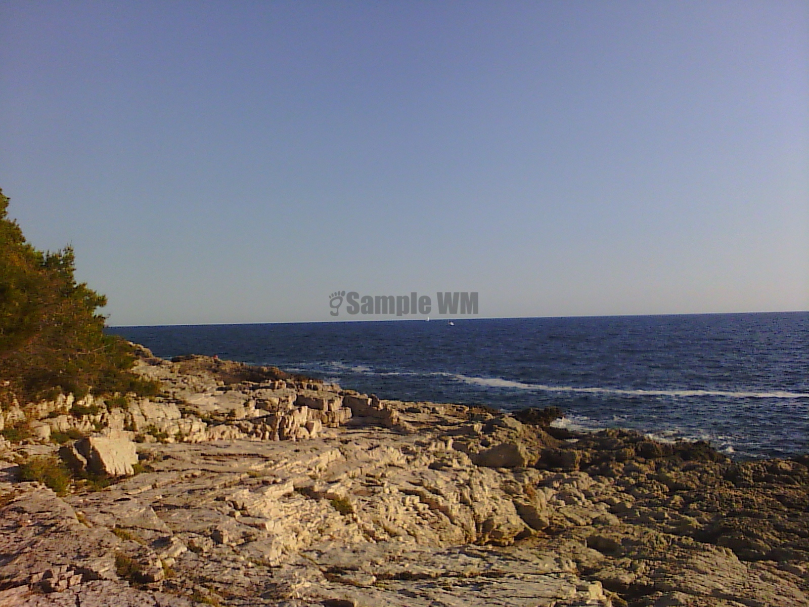 IMG_20130701_185041.jpg