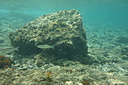 2013-06-29_13_43_55.jpg