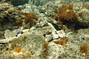 2013-06-29_13_49_45.jpg