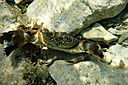 2013-06-30_15_17_15.jpg