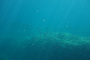 2013-07-04_16_33_56.jpg