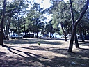 IMG_20130701_164045.jpg