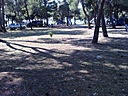 IMG_20130701_164047.jpg