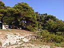 IMG_20130701_185104.jpg