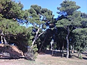IMG_20130701_185147.jpg