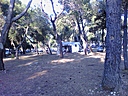IMG_20130701_185334.jpg